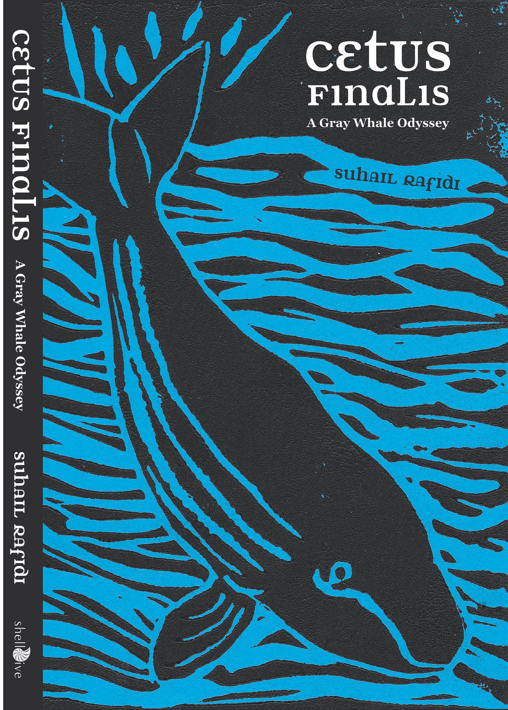 Cetus Finalis: A Gray Whale Odyssey