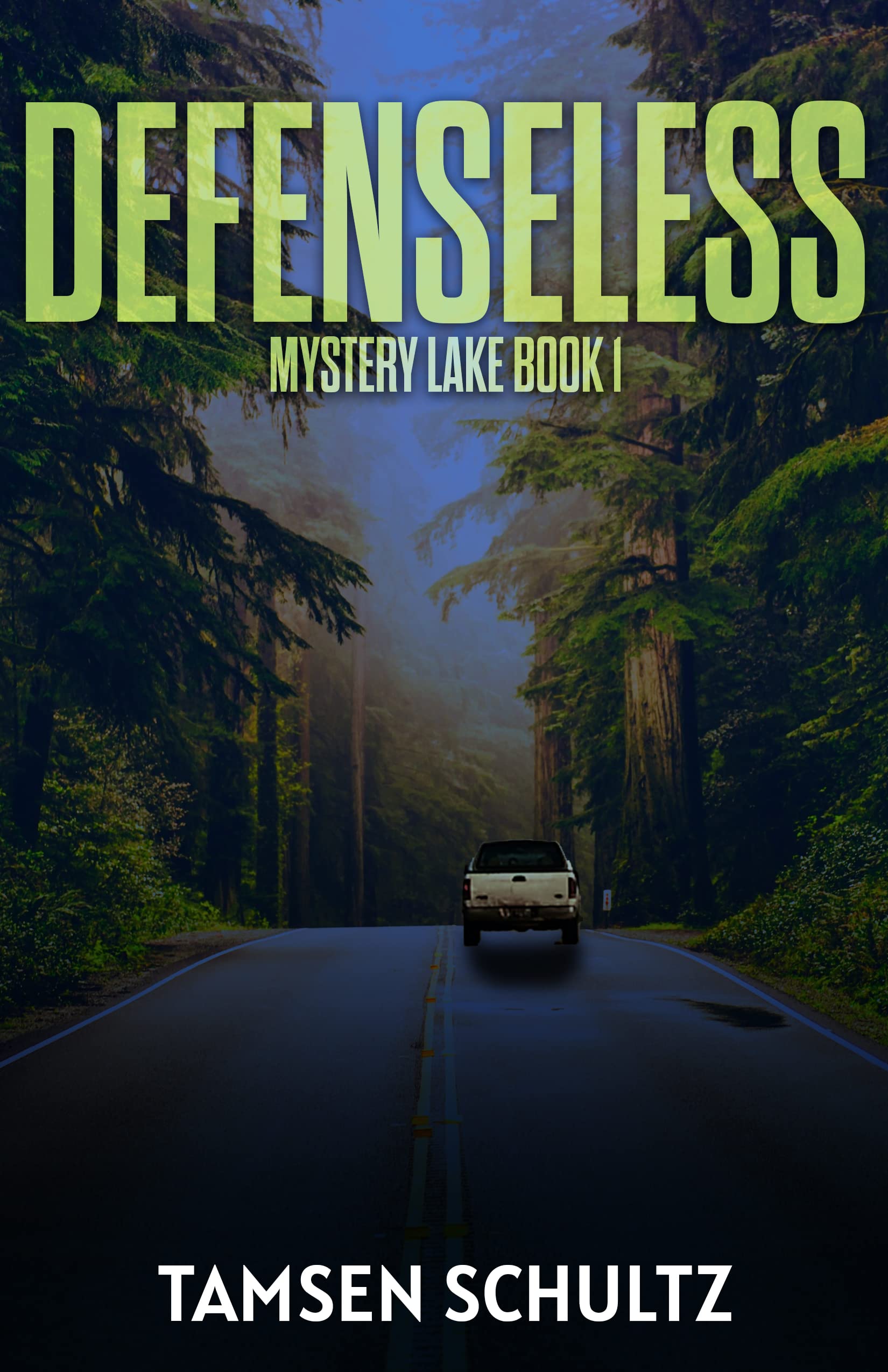 Defenseless (Mystery Lake Series Book 1)