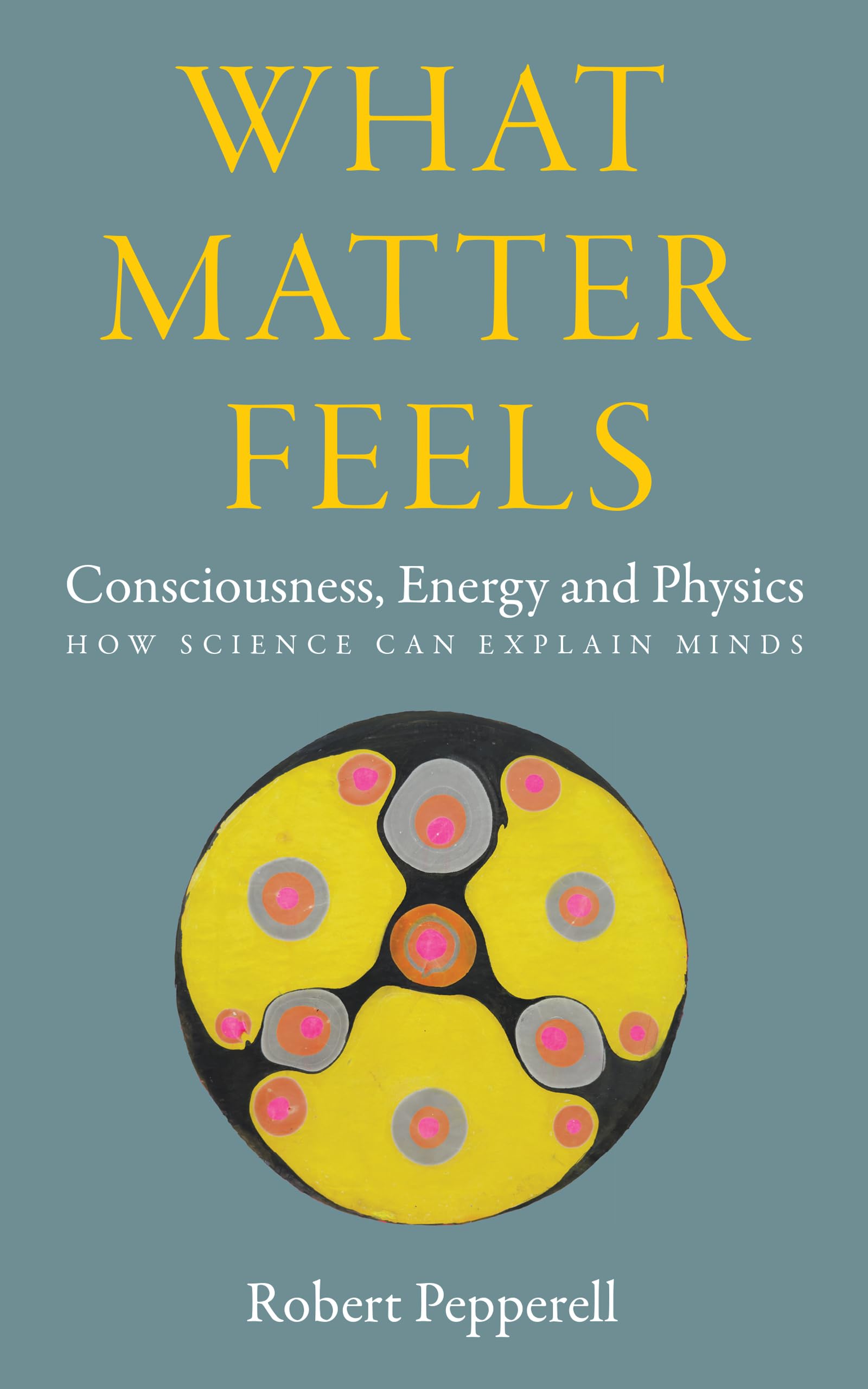 What Matter Feels: Consciousness, Energy and Physics (How Science can Explain Minds)