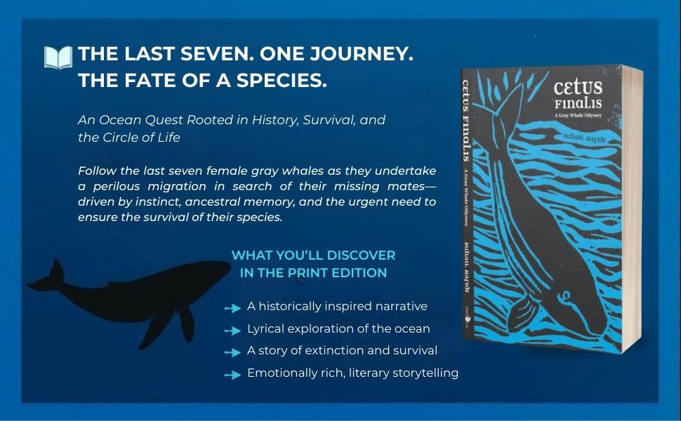 Cetus Finalis: A Gray Whale Odyssey - Gallery image 1