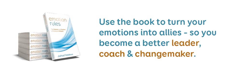 Emotion Rules: The Science and Practice of Emotional Wisdom - Gallery image 4