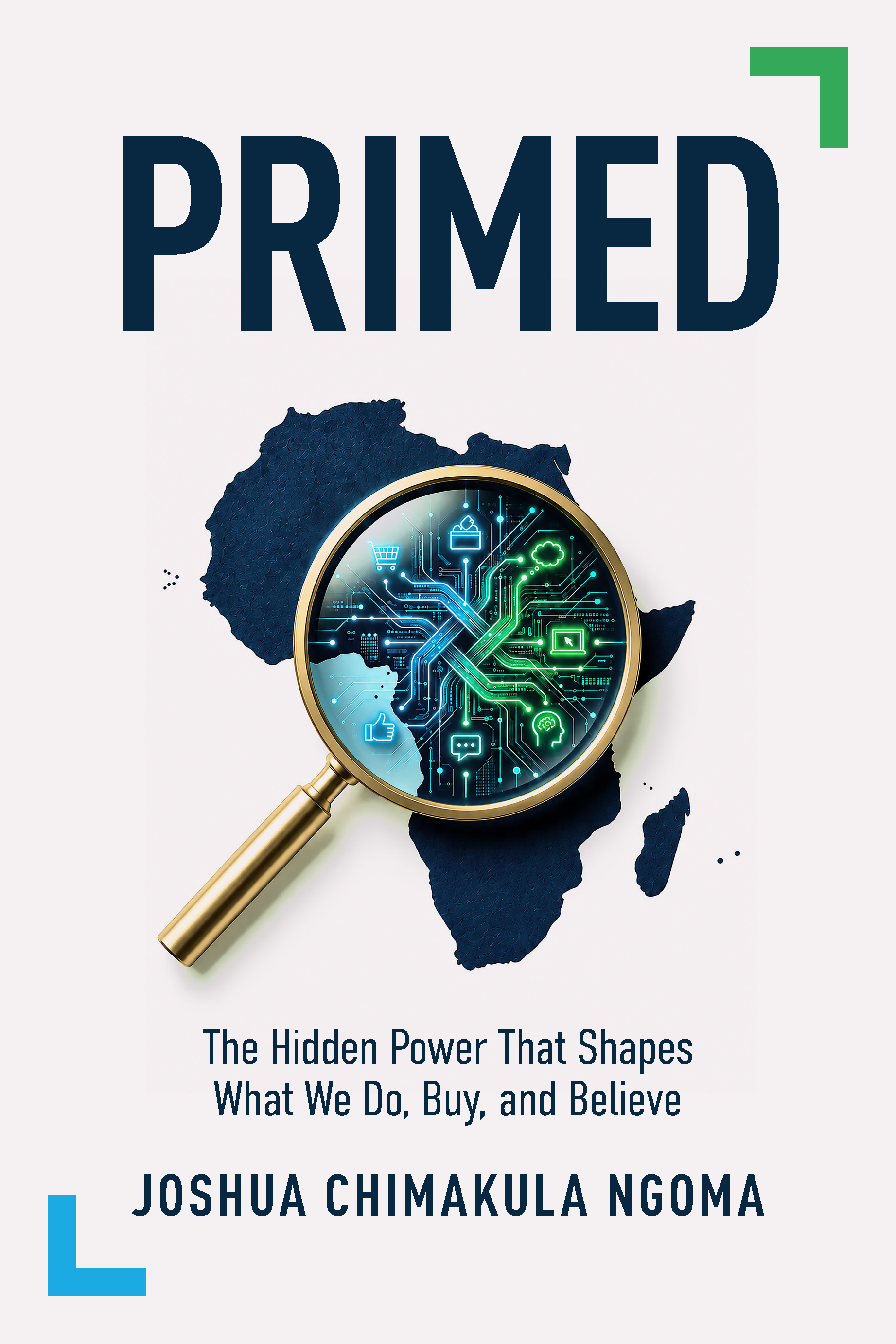 Primed: The Hidden Power That Shapes What We Do, Buy and Believe